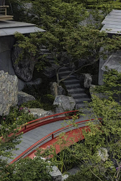 秋雨天奇🎸🏕采集到中式植物