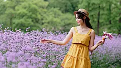 Beautiful woman in yellow dress and straw hat posing in purple Verbena Bonariensis flower field, charming Chinese girl with black long hair enjoy her leisure time outdoor.Beautiful woman in yellow dress and straw hat posing in purple Verbena Bonariensis f