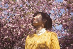 mourning采集到花丛绿园