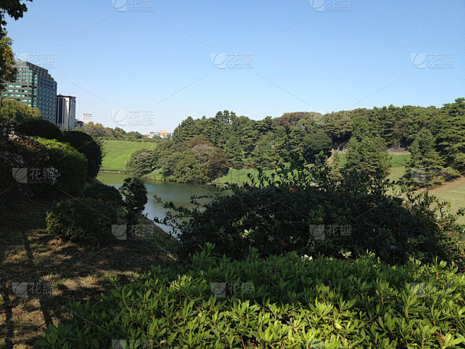 东京的公园，夏天