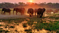 South Africa, Botswana, and Victoria Falls | National Geographic Expeditions