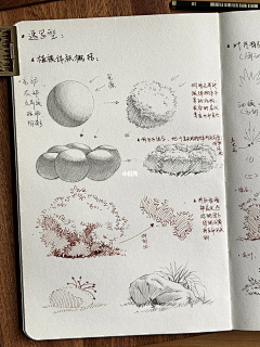 30岁之前能退休吗采集到【画风】钢笔淡彩