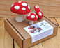 Needle Felt Toadstools Kit  DIY Felting Craft Kit by AnSnagBreac, €15.00