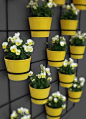 We could put one of these little thingys on the WALLS of the balcony (a kind of trellis) to brighten them up a bit :D: