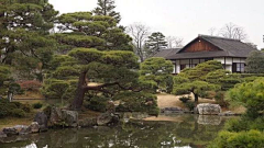 栀芓采集到植意——禅意 日式