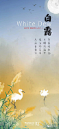 白露节气