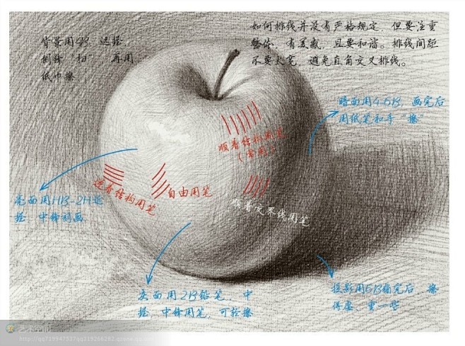 素描静物之画漂亮的苹果