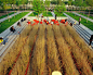 35-turenscape-landscape-architecture « Landscape Architecture Works | Landezine