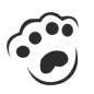 猫爪