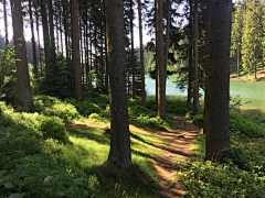 DG叉烧采集到场景