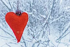 手工制作的红色毛毡心挂在雪白的树枝上