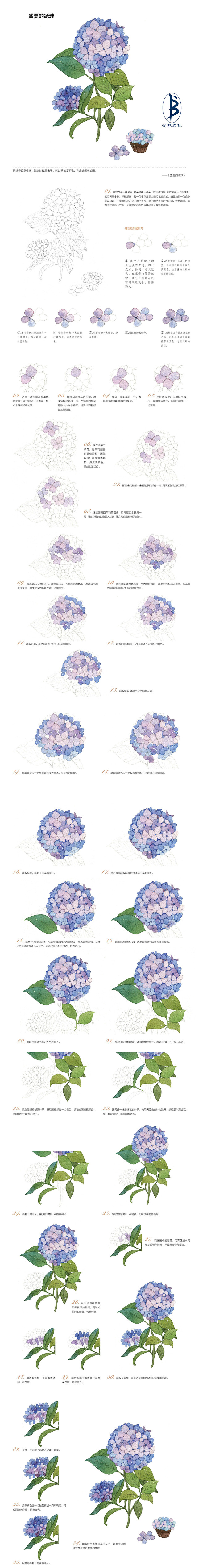 绣球花_飞莱子__插画师作品_涂鸦王国g...