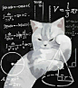 (14) Pinterest