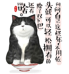 浣红尘采集到那猫&那咪