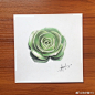 那些画多肉的日子
都是美好回忆
#蕾蕾画画##手绘##我爱彩铅画##手绘彩铅# @reeves艺术生活馆 @手绘邦 @手绘工场 @手绘画画 @温莎牛顿 @Artager彩铅世界 @本意绘片馆  @大神手绘作品 ​​​​