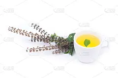 杯中的圣罗勒茶孤立在白色的背景上，西洋参植物
杯中的圣罗勒茶孤立在白色的背景上，西洋参植物
