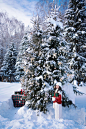 冬季写真圣诞节氛围红色毛衣禾木旅拍约拍