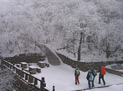 yangjinhai采集到惊心动魄-冬游黄山遇险