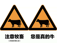 Queue采集到诙谐