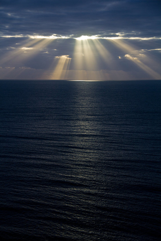 海