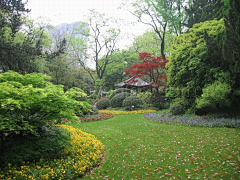 Alice1108采集到植物景观设计