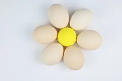 彩蛋，蛋白质，健康，鸡蛋，营养，蛋壳，蛋黄，美食，易碎，水煮蛋，早餐，新鲜鸡蛋，食物，白色，复活节，易碎，818A6548 – 饿狐背景网站-微距高清设计素材免费图片下载海报壁纸摄影背景素材，背景图，背景墙，背景板，背景图片，背景纹理，背景板设计，背景材质，背景大图