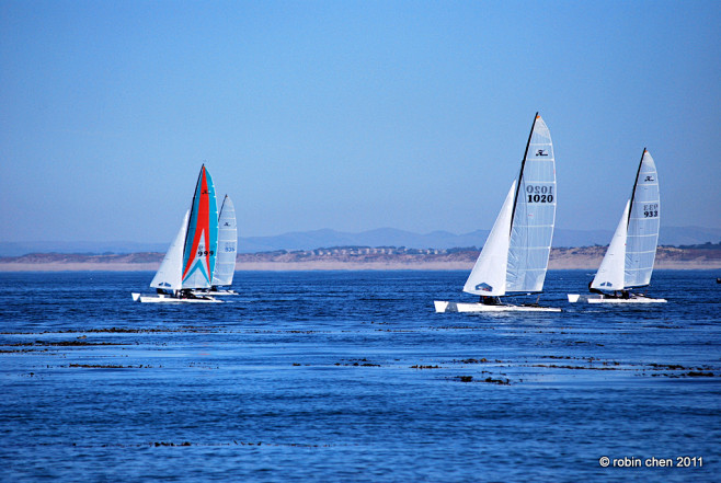 sails by meihua