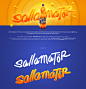 Sallamatör Micro Site : Fanta Sallamator Web Site