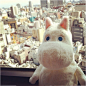 moomin河马公仔