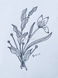 晴希琳采集到缠绕画
