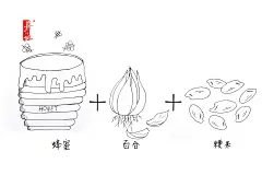 蜂蜜的食用方法手绘，速写，简笔画