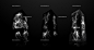 Cognition,3D展模网