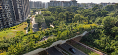 FENGM采集到高线公园