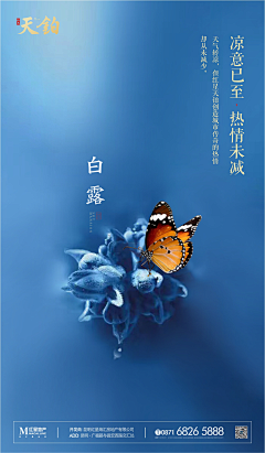 不二情书666采集到二十四节气--白露