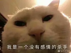 (5 封私信 / 9 条消息) 你见到过哪些笑到不行表情包？ - 知乎 : 摄影作品表情包 