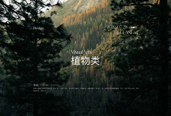 植物类_视觉