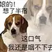 采集图片