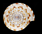 01c33b5edf1cfda801215aa0f454e2.jpg@1280w_1l_2o_100sh