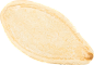 02_Pumpkin Seed