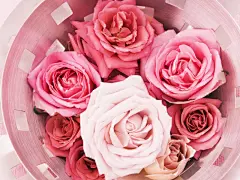 甜蜜婚礼现场桌面高清壁纸桌面壁纸4