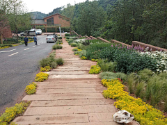 hm2005采集到乡村景观植物