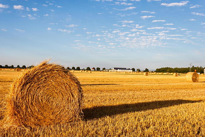 Photograph Haystack ...