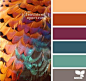 配色方案15000例丨色彩搭配室内网页设计师软装颜色色卡