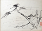 油画家吴冠中用毛笔画的简洁速写3 - 老泥鳅素描论坛 http://www.laoniqiu.com #素描#