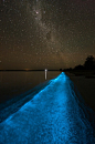 据说是日本冲绳岛的神奇夜光海沙，每晚都这样。也有人说这是澳大利亚的“潘多拉星球”之湖。湖水如同被倾倒进荧光染料一样，夜晚会发出幽蓝色的光芒，将石子投入湖中，也会激起蓝色的荧光，人在湖中浸水或游泳后，身上也会染上一层蓝色荧光。求证实