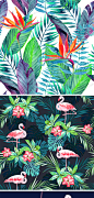 时尚夏季热带雨林火烈鸟服装T恤图案印花纹背景平面设计图片素材-淘宝网