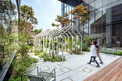 花境设计/园林设计/景观设计，平面图、效果图代做； ① 植物分析图绘制，包括植物高度分析、种类分析、季相分析、色彩分析等等； ② 植物场地图绘制，包括彩平图、道路分析、功能分区； ③ 植物施工图绘制，包括植物配置表、植物花期表、植物养护表、植物施工点位图、植物清单等；√纯设计 √设计+上门指导 √ 设计+施工