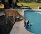 Robin Schwartz Amelia与她的动物朋友们 (美国 新泽西州 摄影 动物 儿童 Robin Schwartz Amelia ) #采集大赛#
