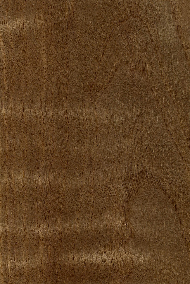 常用的棕色装饰木板贴图