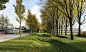 改建后的校园公园克鲁维公园 / karres+brands :   TU Delft校区的Kluyverweg已改建为Kluyver公园。 Kluyver公园是连接各个学院的校园南部的新心脏。机动车辆已经让位给行人和骑车人共享的空间。这个公园位于校园这一区域的中心地带，是学生，老师和其他用户可以放松，散步和见面的未来地方。 ...